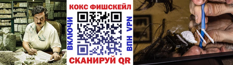 Купить где  Советск  Cocaine FishScale 