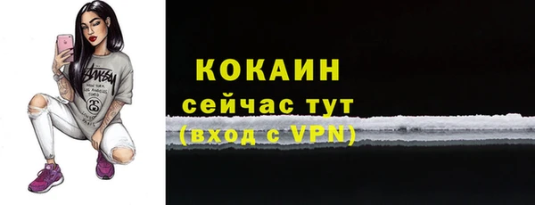 стаф Киренск
