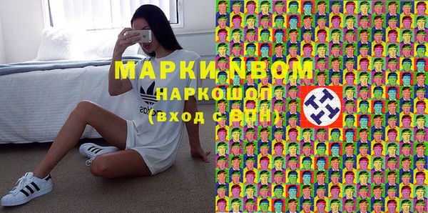стаф Киренск