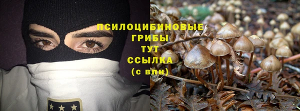 первитин Киреевск