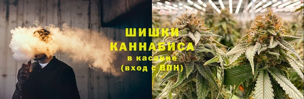стаф Киренск